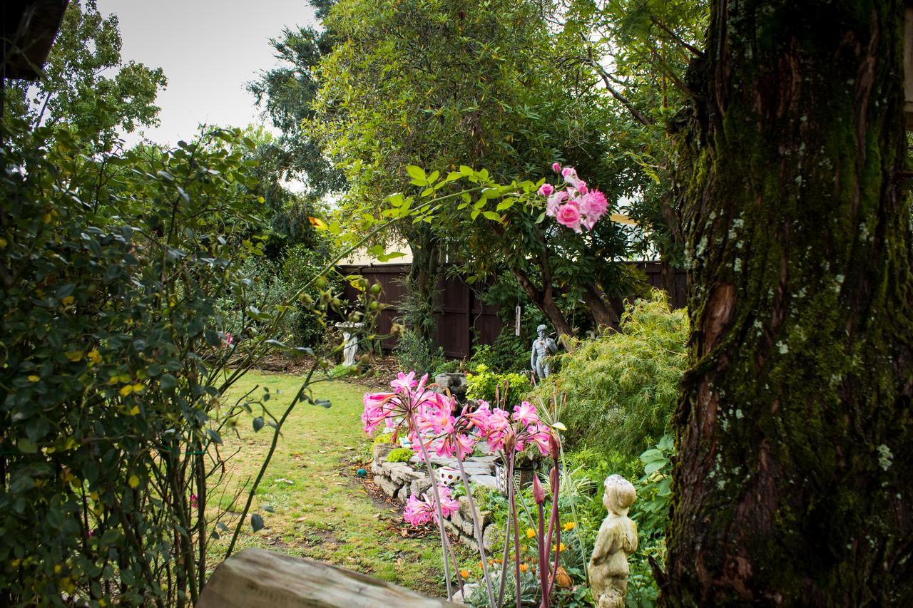 Holland House Bed & Breakfast Nelson Dış mekan fotoğraf